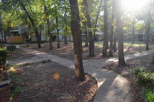 Willow Creek #180 Courtyard